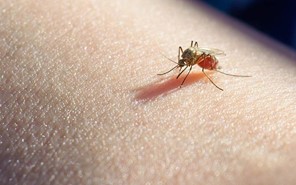 Kρούσμα με μολυσμένα κουνούπια και στον Δήμο Τρικκαίων 